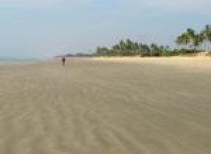 Какие пляжи Гоа выбрать для отдыха?